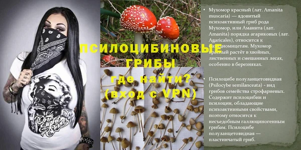 дживик Абаза