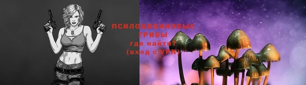 spice Алзамай