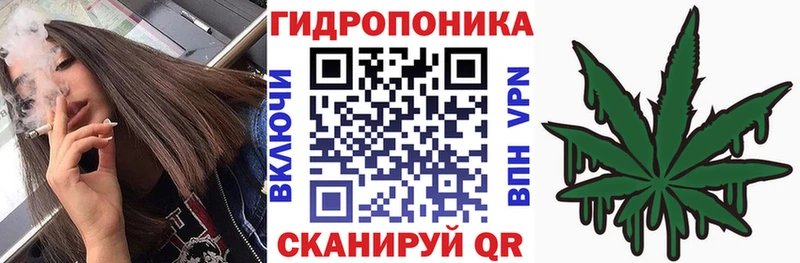 как найти закладки  маркетплейс какой сайт  Марихуана White Widow  Учалы  omg маркетплейс 
